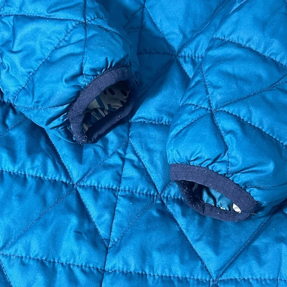 Patagonia cozy reversible